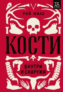 Кости внутри и снаружи