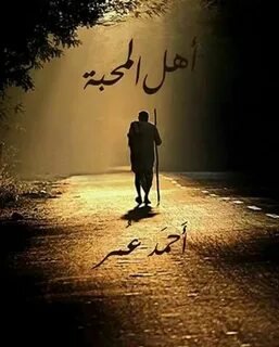 Доккодо или Путь идущего в одиночестве