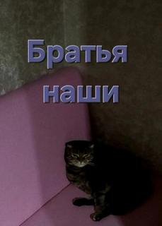 Братья наши